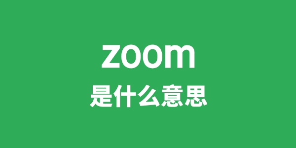zoom是甚么意义