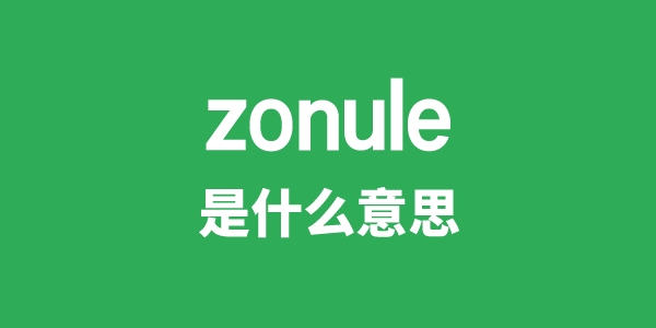 zonule是甚么意义