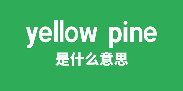 yellow pine是甚么意义