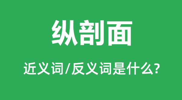 纵剖面的近义词和反义词是甚么,纵剖面是甚么意义