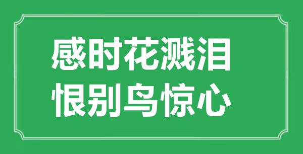 “感时花溅泪,恨别鸟惊心”的意义来由及全诗赏析