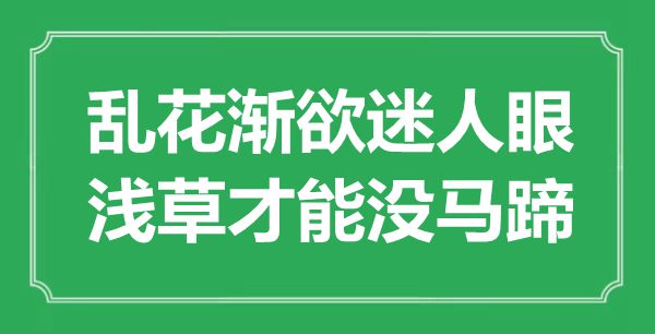 “乱用渐欲诱人眼，浅草能力没马蹄”是甚么意义,来由是那里