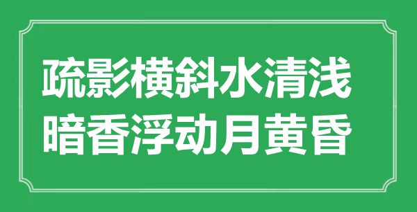 “疏影横斜水清浅，暗香浮动月傍晚”是甚么意义,来由是那里
