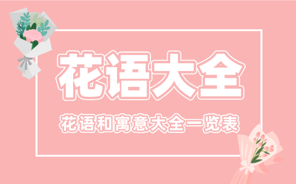 花语大全,各类花的花语和寄意大全一览表