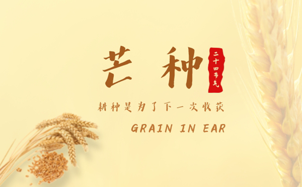 2023年芒种是几月几日几点,芒种的寄义是甚么意义