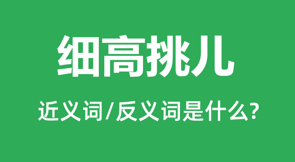 细高挑儿的近义词和反义词是甚么,细高挑儿是甚么意义