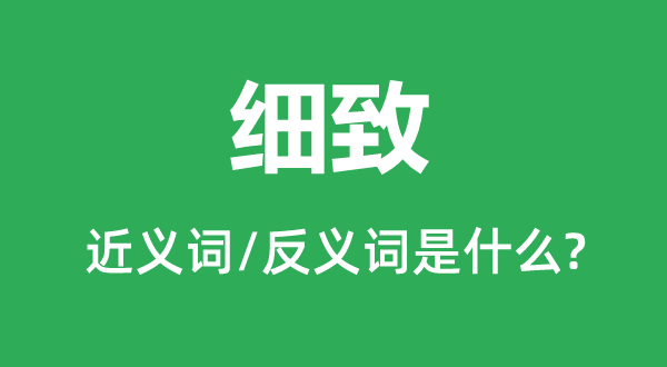 详实的近义词和反义词是甚么,详实是甚么意义
