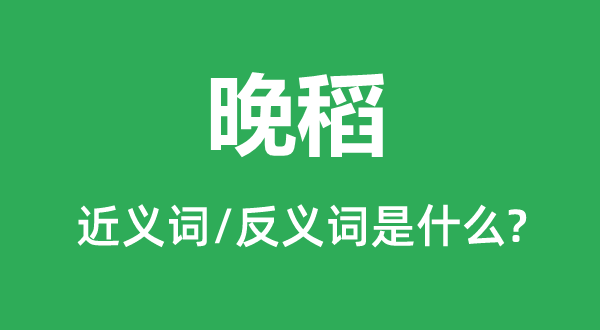 晚稻的近义词和反义词是甚么,晚稻是甚么意义