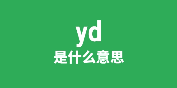 yd是甚么意义