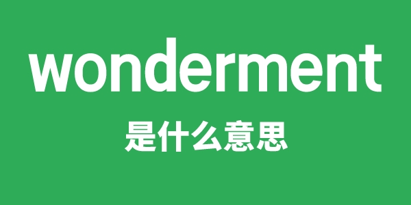 wonderment是甚么意义