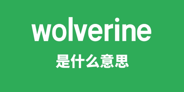 wolverine是甚么意义