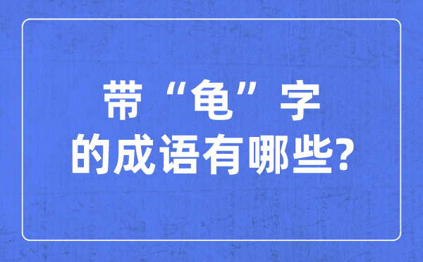 带龟字的针言有哪些,对于龟的四字针言