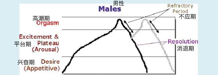 贤者时辰是甚么意义,贤人形式是甚么意义,普通多久