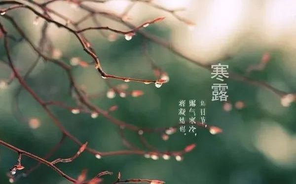 寒露骨气的寄义是甚么,寒露骨气的特色和风尚简介