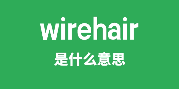 wirehair是甚么意义