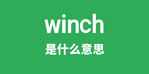 winch是甚么意义