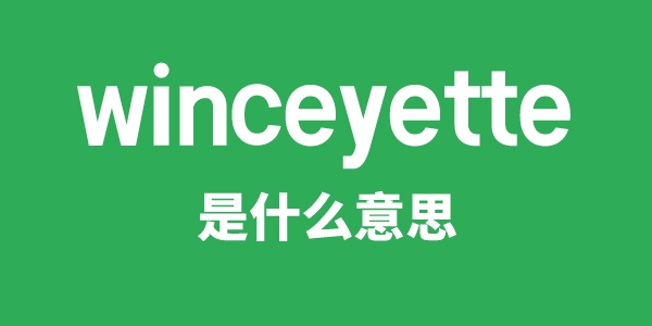 winceyette是甚么意义