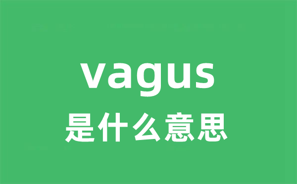 vagus是甚么意义