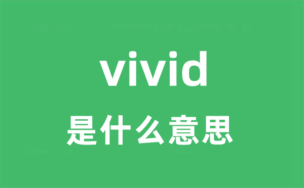 vivid是甚么意义