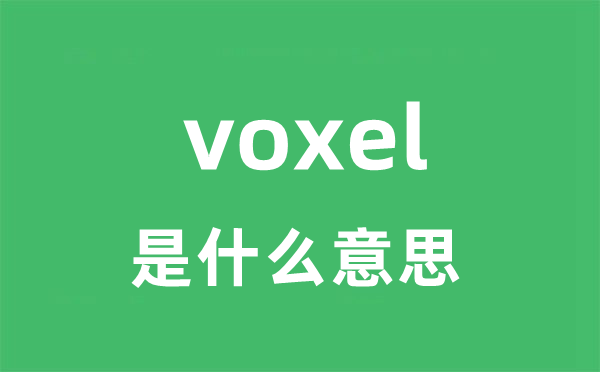 voxel是甚么意义