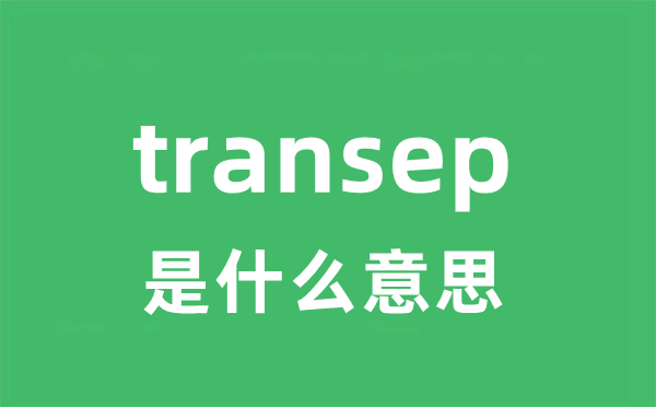 transept是甚么意义
