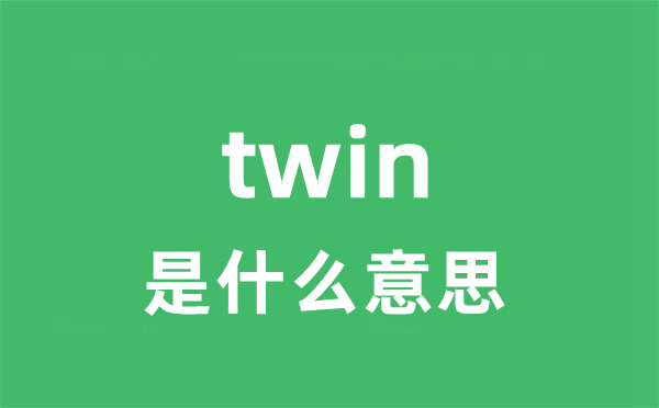 twin是甚么意义