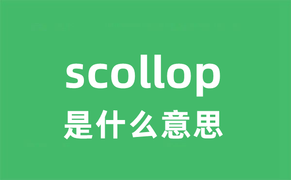 scollop是甚么意义