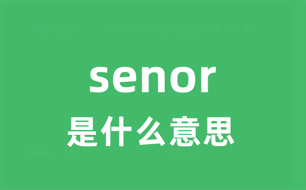 senor是甚么意义