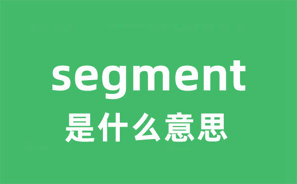 segment是甚么意义