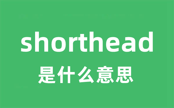 shorthead是甚么意义