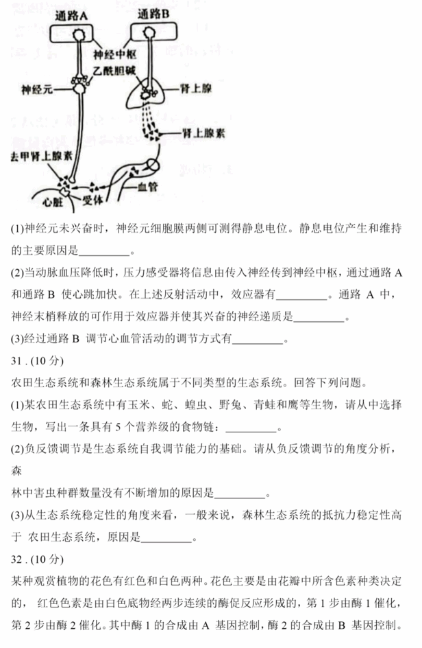 2023年高考天下乙卷理综试卷真题及谜底剖析（完全版）