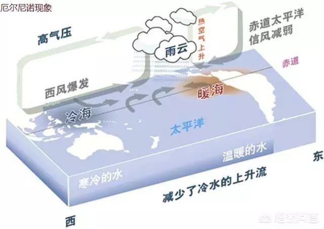 厄尔尼诺景象是甚么意义,厄尔尼诺景象对中国的影响是甚么