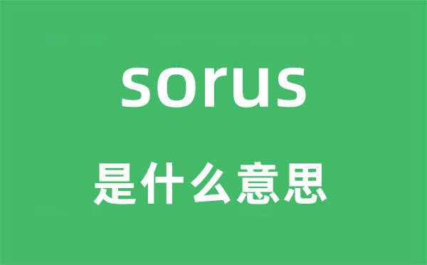 sorus是甚么意义,sorus怎样读,中文翻译是甚么