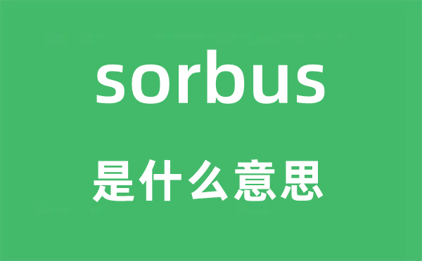 sorbus是甚么意义,sorbus怎样读,中文翻译是甚么