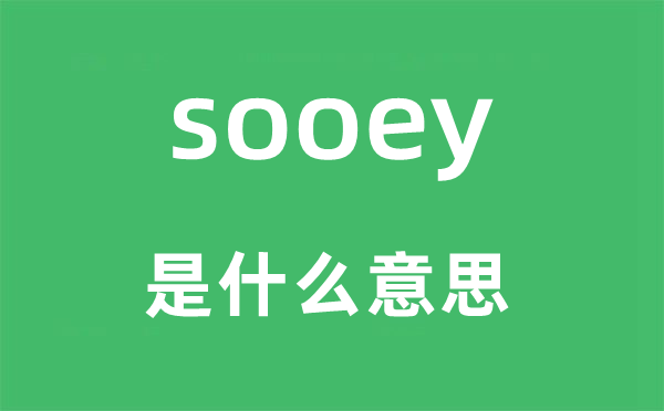 sooey是甚么意义,sooey怎样读,中文翻译是甚么
