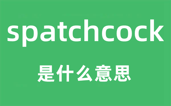 spatchcock是甚么意义,spatchcock怎样读,中文翻译是甚么