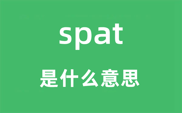spat是甚么意义,spat怎样读,中文翻译是甚么