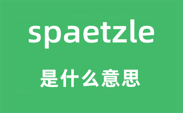 spaetzle是甚么意义,spaetzle怎样读,中文翻译是甚么