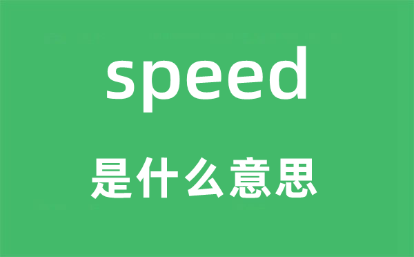 speed是甚么意义,speed怎样读,中文翻译是甚么