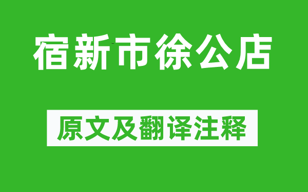 杨万里《宿新市徐公店》原文及翻译正文,诗意诠释
