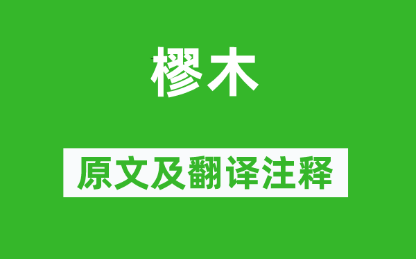 诗经·国风《樛木》原文及翻译正文,诗意诠释