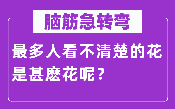 脑子急转弯：最多人看不清晰的花是甚麽花呢？