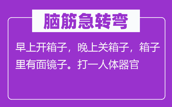 脑子急转弯：早上开箱子，早晨关箱子，箱子里有面镜子。打一人体器官