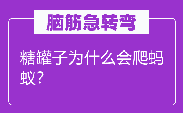 脑子急转弯：糖罐子为甚么会爬蚂蚁？