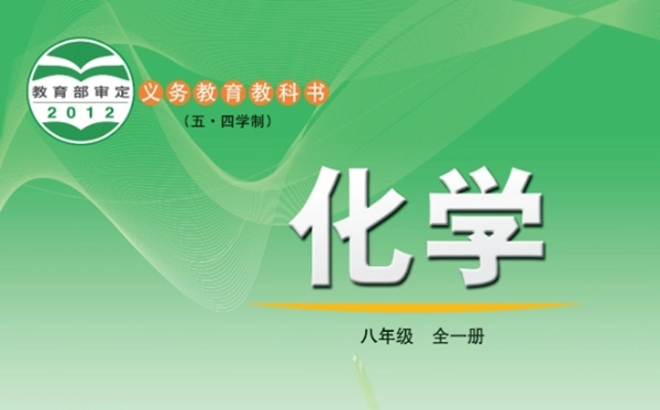 鲁教版初中化学电子讲义讲义大全（五四制电子版）