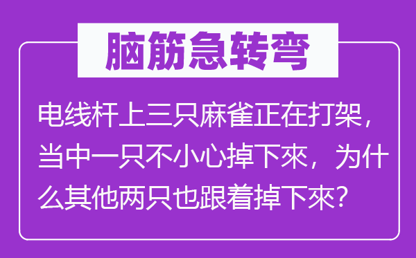 脑子急转弯：电线杆上三只麻雀正在打斗，傍边一只不谨慎掉下來，为甚么其余两只也随着掉下來？