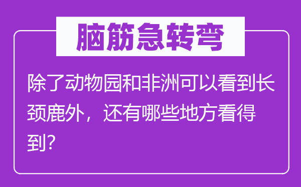 脑子急转弯：除植物园和非洲能够看到长颈鹿外，另有哪些处所看获得？