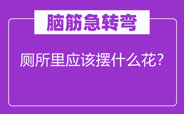 脑子急转弯：茅厕里应当摆甚么花？