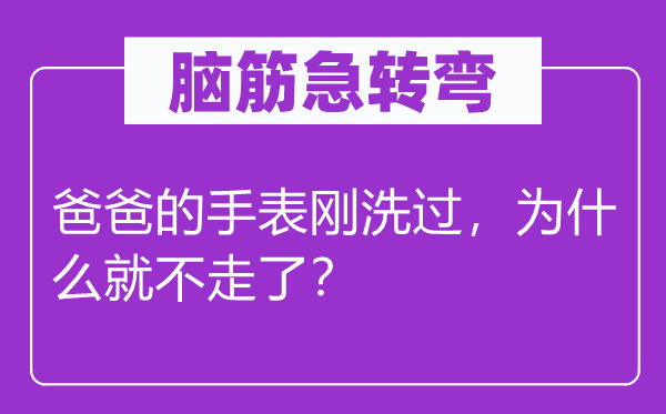 脑子急转弯：爸爸的腕表刚洗过，为甚么就不走了？