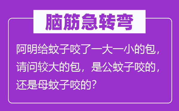 脑子急转弯：阿明给蚊子咬了一大一小的包，叨教较大的包，是公蚊子咬的，仍是母蚊子咬的？